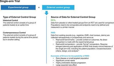 Application of Real-World Data to External Control Groups in Oncology Clinical Trial Drug Development